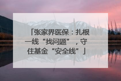 张家界医保：扎根一线“找问题”，守住基金“安全线”
