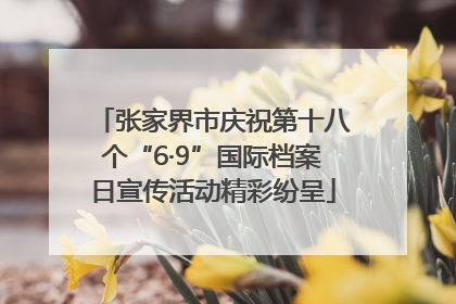 张家界市庆祝第十八个“6·9”国际档案日宣传活动精彩纷呈