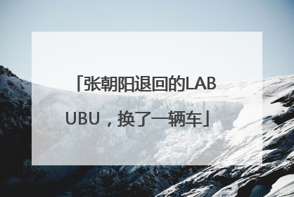 张朝阳退回的LABUBU，换了一辆车