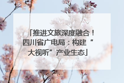 推进文旅深度融合！四川省广电局：构建“大视听”产业生态