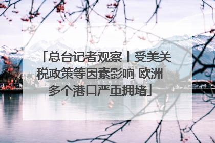 总台记者观察丨受美关税政策等因素影响 欧洲多个港口严重拥堵