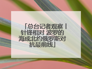 总台记者观察丨针锋相对 波罗的海成北约俄罗斯对抗最前线