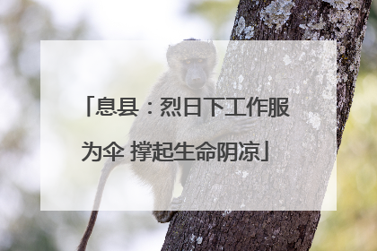息县：烈日下工作服为伞 撑起生命阴凉
