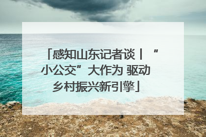 感知山东记者谈丨“小公交”大作为 驱动乡村振兴新引擎