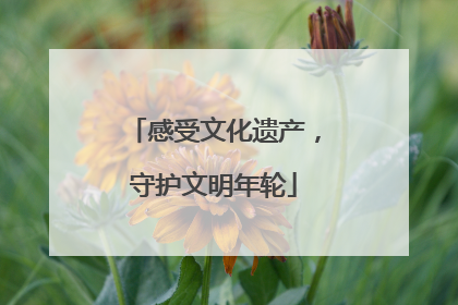 感受文化遗产，守护文明年轮