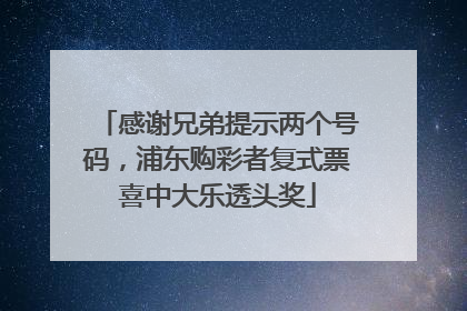 感谢兄弟提示两个号码，浦东购彩者复式票喜中大乐透头奖