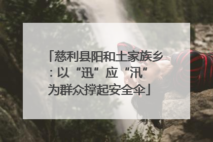 慈利县阳和土家族乡：以“迅”应“汛” 为群众撑起安全伞
