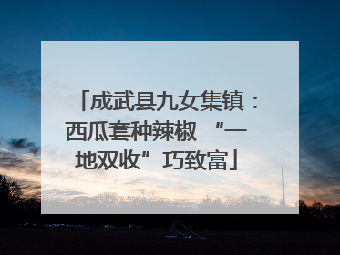 成武县九女集镇：西瓜套种辣椒 “一地双收”巧致富