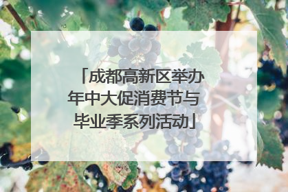 成都高新区举办年中大促消费节与毕业季系列活动