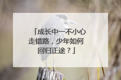 成长中一不小心走错路，少年如何回归正途？