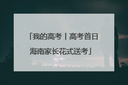 我的高考丨高考首日 海南家长花式送考