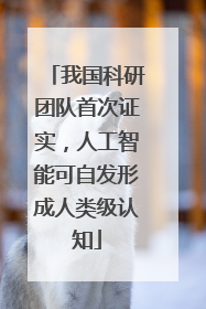 我国科研团队首次证实，人工智能可自发形成人类级认知