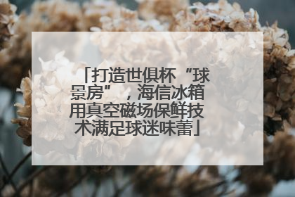打造世俱杯“球景房”，海信冰箱用真空磁场保鲜技术满足球迷味蕾