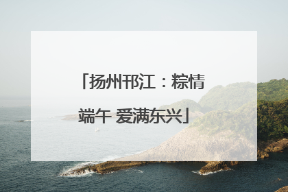 扬州邗江：粽情端午 爱满东兴