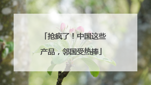 抢疯了！中国这些产品，邻国受热捧