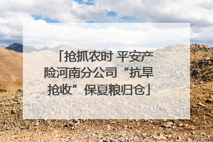 抢抓农时 平安产险河南分公司“抗旱抢收”保夏粮归仓