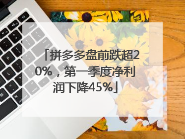 拼多多盘前跌超20%，第一季度净利润下降45%