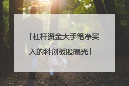 杠杆资金大手笔净买入的科创板股曝光