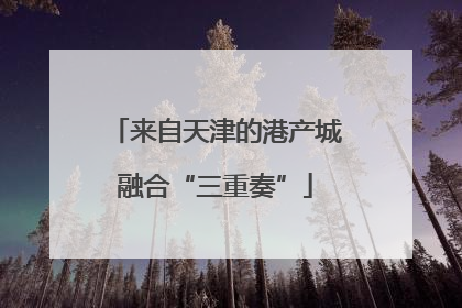 来自天津的港产城融合“三重奏”