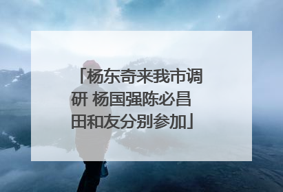 杨东奇来我市调研 杨国强陈必昌田和友分别参加