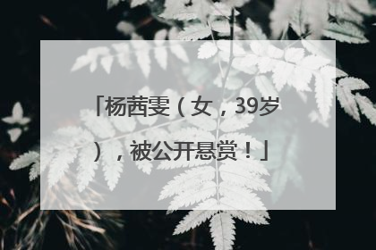 杨茜雯（女，39岁），被公开悬赏！