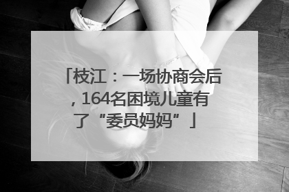 枝江：一场协商会后，164名困境儿童有了“委员妈妈”