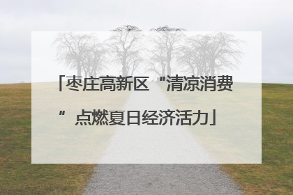 枣庄高新区“清凉消费”点燃夏日经济活力