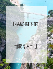 枯杨树下的“解铃人”