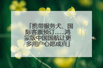 携带服务犬、国际客票预订……鸿蒙版中国国航让更多用户心愿成真