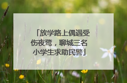 放学路上偶遇受伤夜鹭，聊城三名小学生求助民警