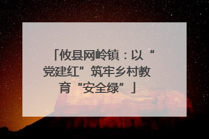 攸县网岭镇：以“党建红”筑牢乡村教育“安全绿”