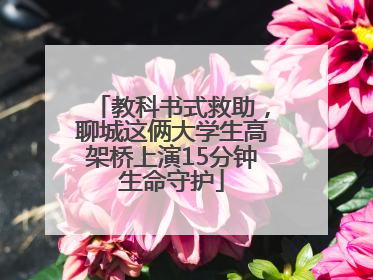 教科书式救助，聊城这俩大学生高架桥上演15分钟生命守护