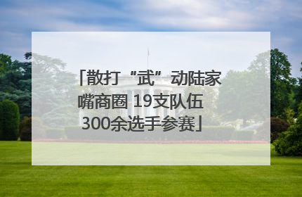散打“武”动陆家嘴商圈 19支队伍300余选手参赛