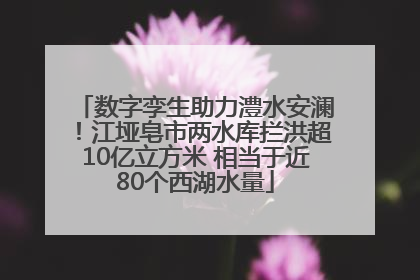 数字孪生助力澧水安澜！江垭皂市两水库拦洪超10亿立方米 相当于近80个西湖水量