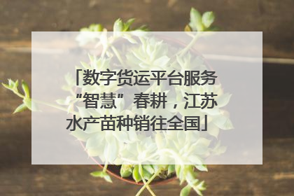 数字货运平台服务“智慧”春耕，江苏水产苗种销往全国