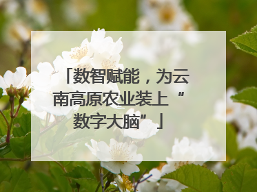 数智赋能，为云南高原农业装上“数字大脑”