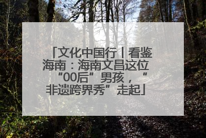 文化中国行丨看鉴海南：海南文昌这位“00后”男孩，“非遗跨界秀”走起