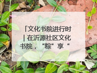 文化书院进行时｜在沂源社区文化书院，“粽”享“端午”美好时光
