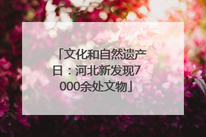 文化和自然遗产日：河北新发现7000余处文物