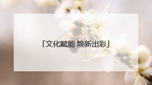 文化赋能 焕新出彩