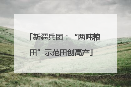 新疆兵团：“两吨粮田”示范田创高产