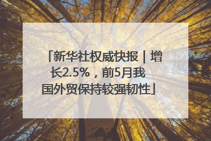 新华社权威快报｜增长2.5%，前5月我国外贸保持较强韧性