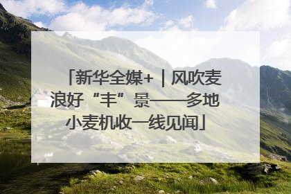 新华全媒+｜风吹麦浪好“丰”景——多地小麦机收一线见闻