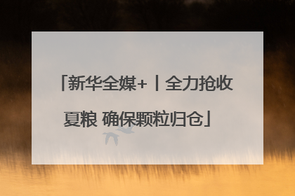 新华全媒+丨全力抢收夏粮 确保颗粒归仓