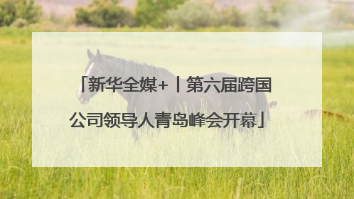 新华全媒+丨第六届跨国公司领导人青岛峰会开幕
