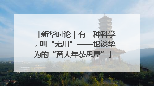 新华时论｜有一种科学，叫“无用”——也谈华为的“黄大年茶思屋”