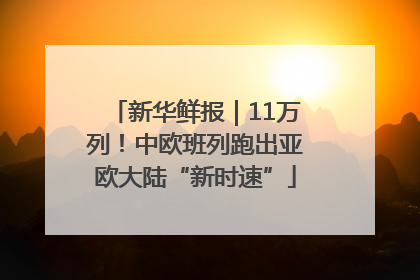 新华鲜报｜11万列！中欧班列跑出亚欧大陆“新时速”