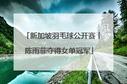 新加坡羽毛球公开赛丨陈雨菲夺得女单冠军