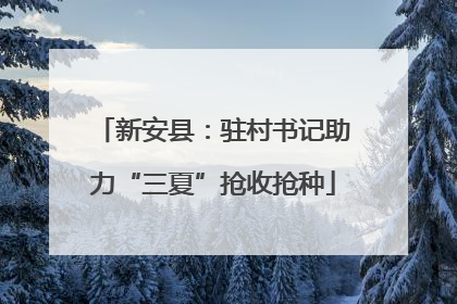 新安县：驻村书记助力“三夏”抢收抢种
