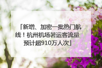 新增、加密一批热门航线！杭州机场暑运客流量预计超910万人次